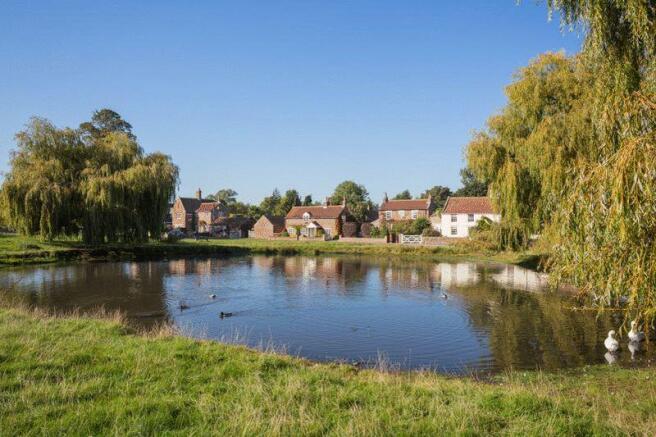 the village pond