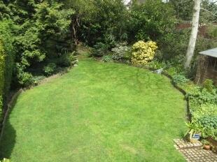 View From Second Bedroom