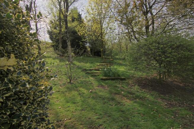Photo 26