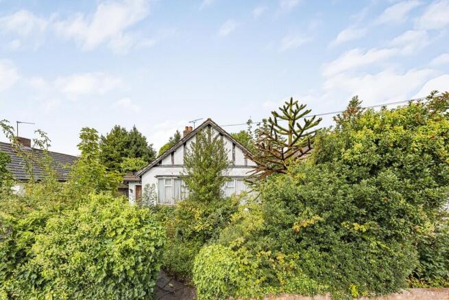 Photo Sep 10 2025...