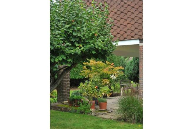 Photo 21