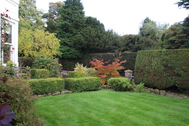 garden (2).JPG