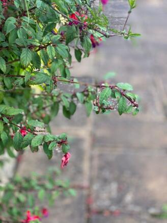 Photo 22