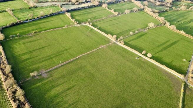 dji_fly_20260318_174648_341_1773856340820_photo_op