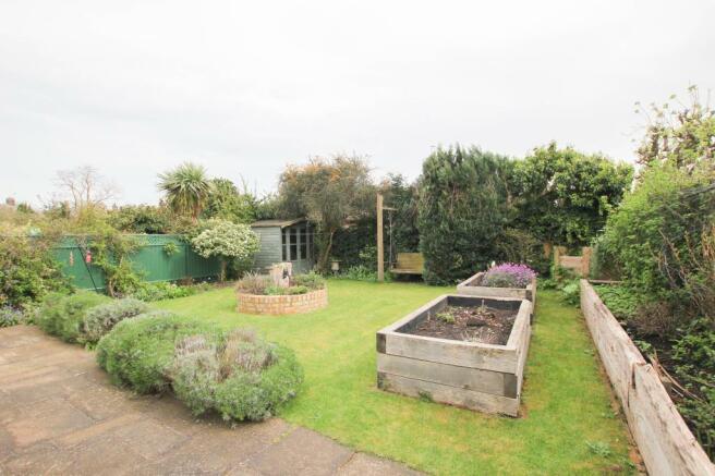 garden.JPG