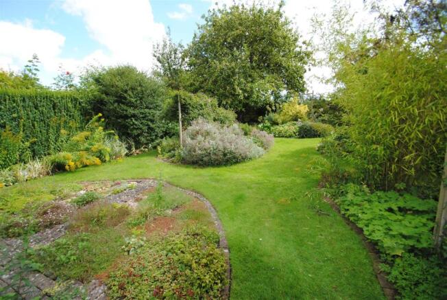 new top of garden.jpg