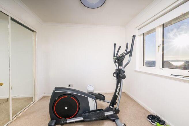 Bedroom / Gym