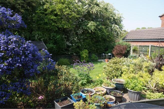 Rear garden