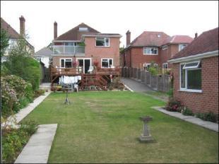 Back Garden