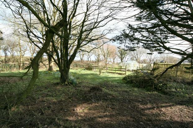 Garden 3
