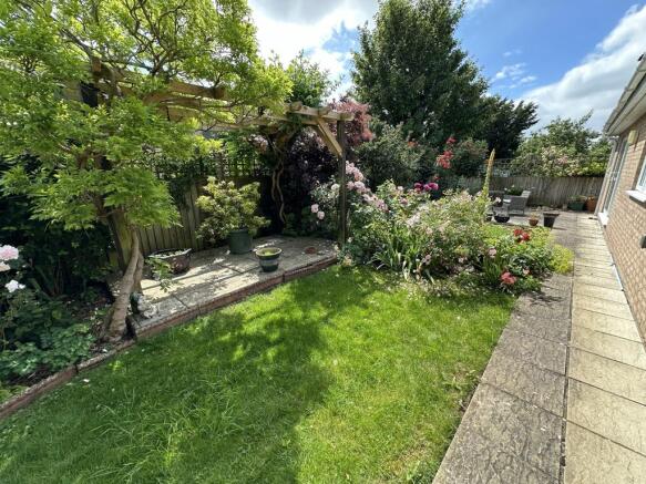 Garden 3.JPG