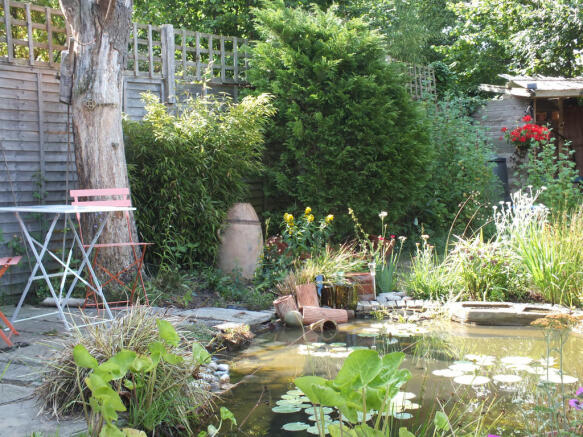 garden