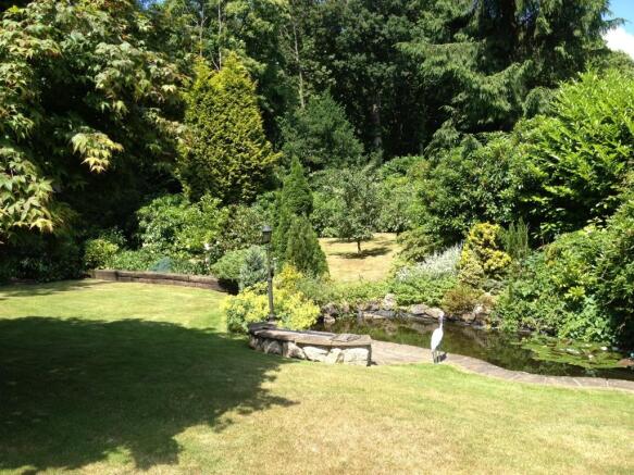 rear gardens