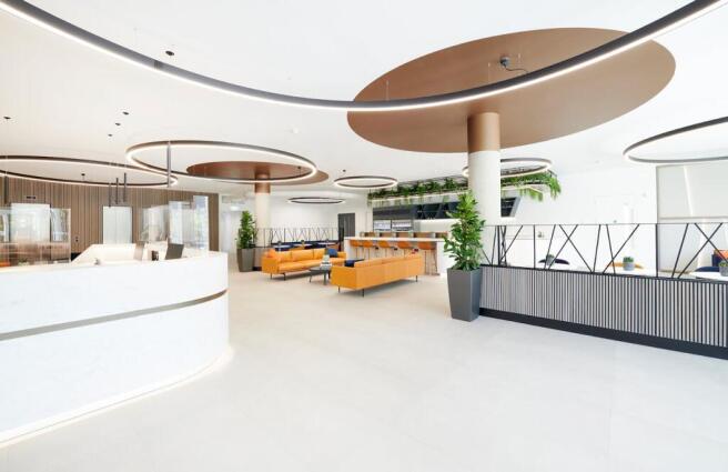 CP1_NSP9906 Low Res sRGB.jpg