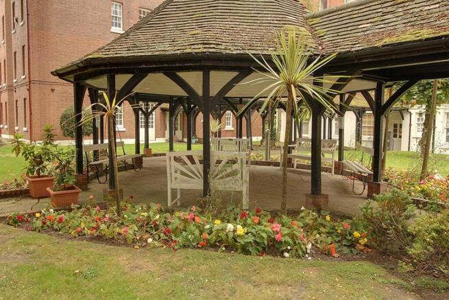 Garden at Back