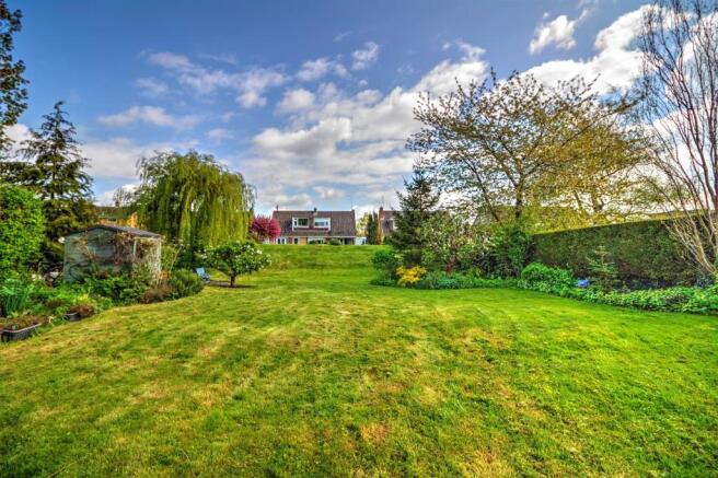 Garden 4.jpg
