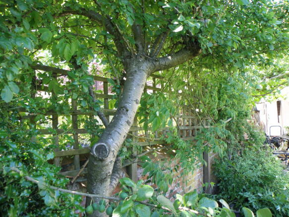 Photo 7