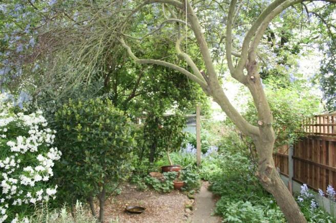 REAR GARDEN pic 2