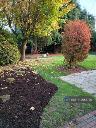 Photo 29