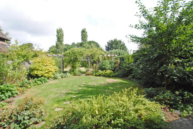 Photo 15