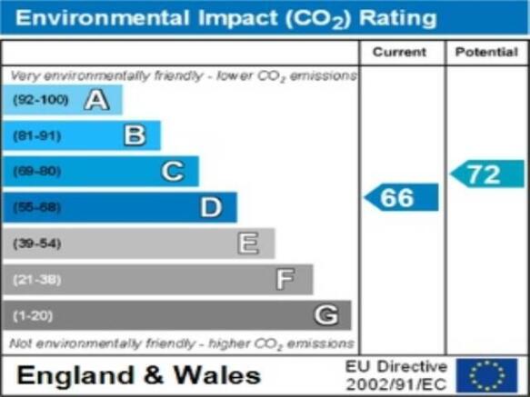 ENVIRONMENTAL IMPACT