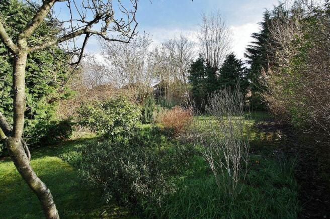 Garden Shot 2