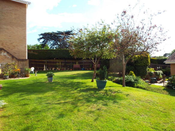 Photo 7
