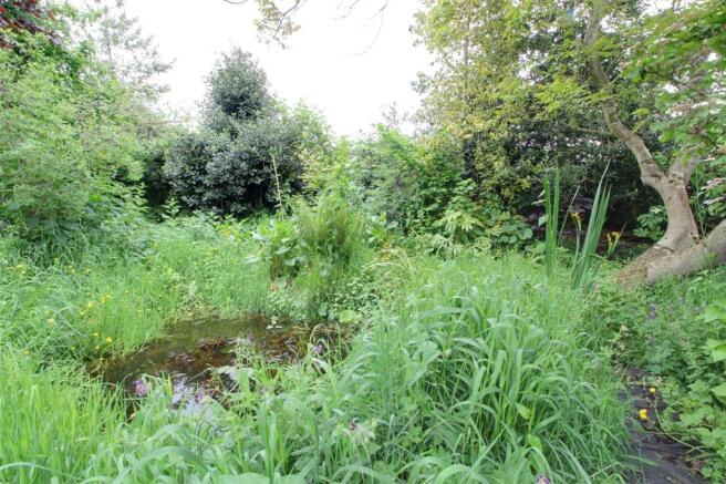 Wild Garden and Pond