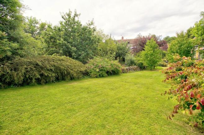 Garden 3