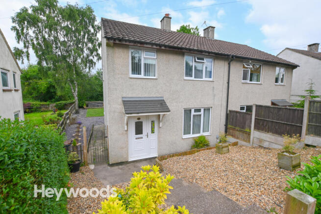 DSC_7393