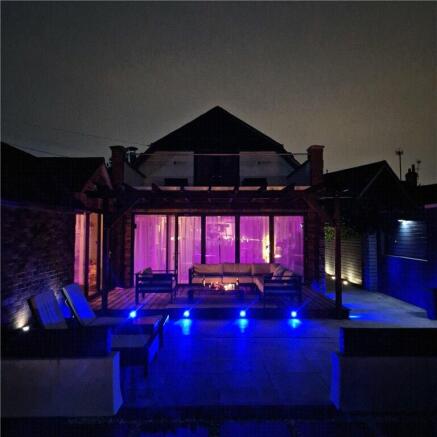 Night Shot -Back