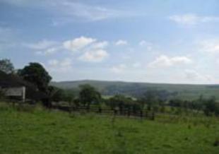 Land and View