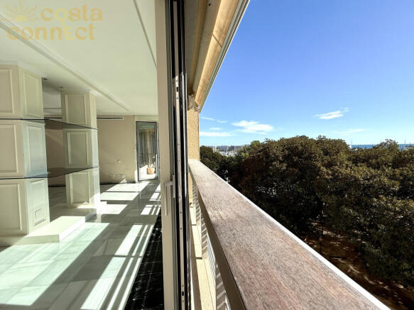 20260212_111910789_iOS