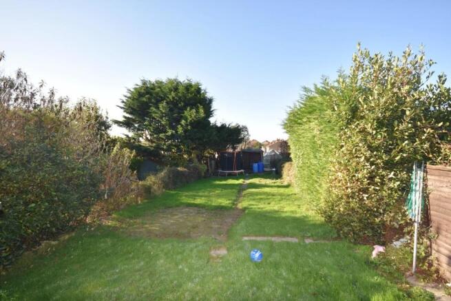 Garden - lawn.JPG
