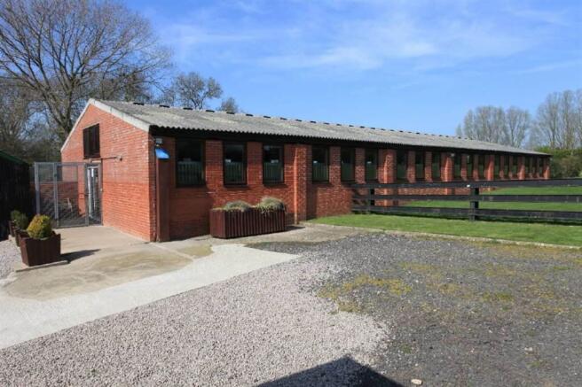 49 kennels