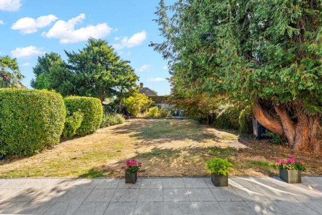 Back Garden
