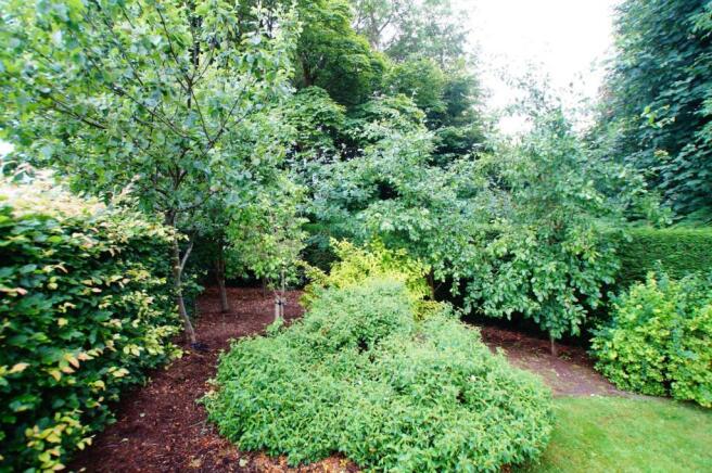 Fruit Trees