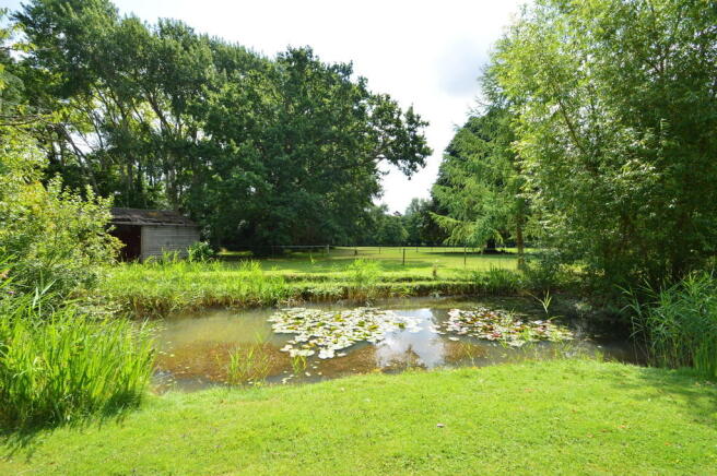 Photo 13