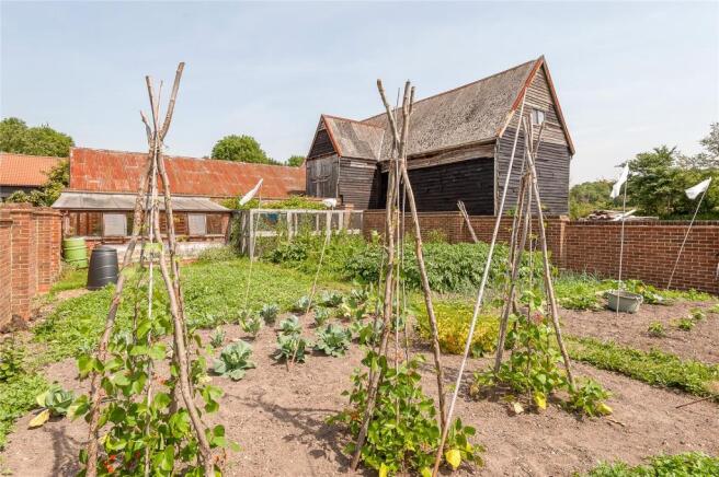 Vegetable Garden