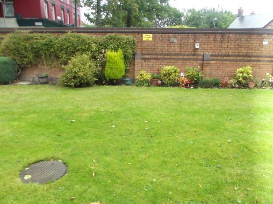 Rear Garden 2