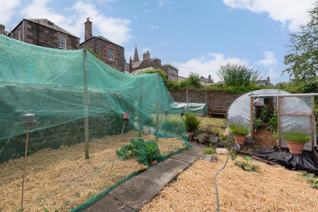 VEG POLLY TUNNEL