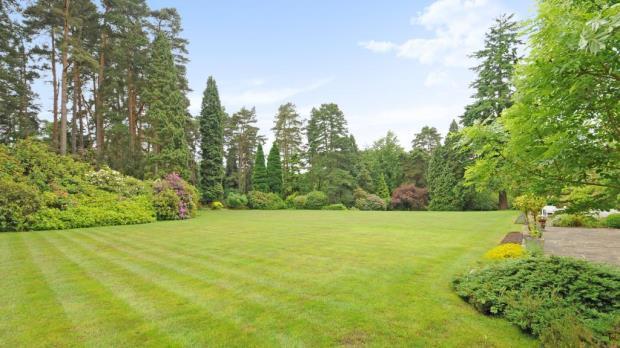 Grounds