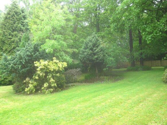 Garden 3