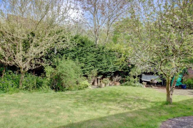 Garden 3