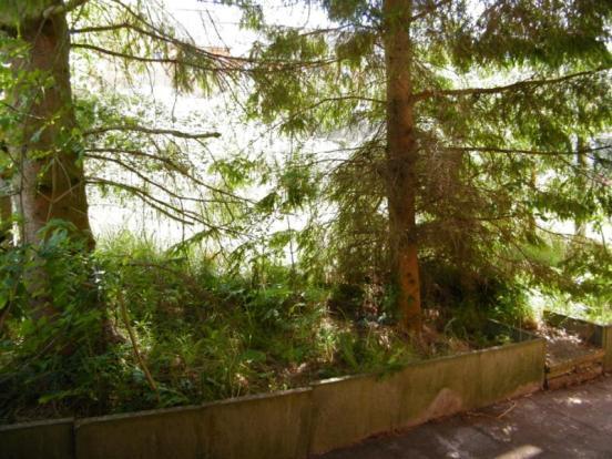 Rear Garden Photo 1