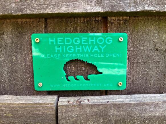 Hedgehog Highway