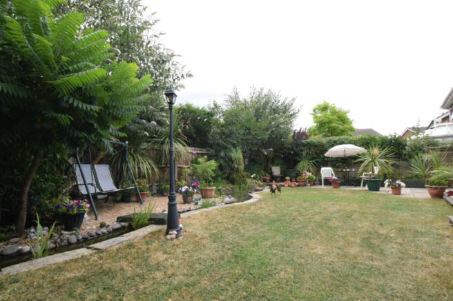 Photo 20