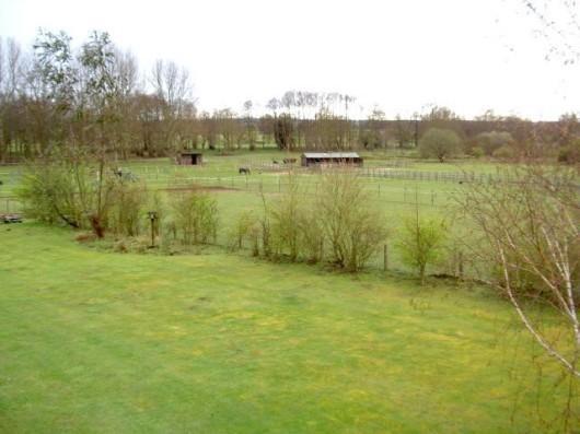 View From Bedroom