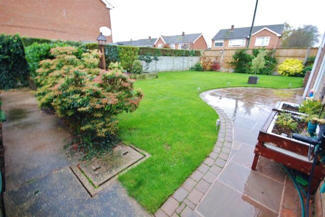 a garden.jpg