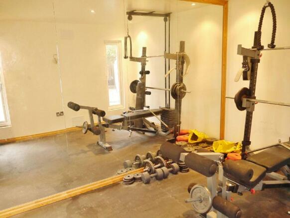 Rear Garden Gym